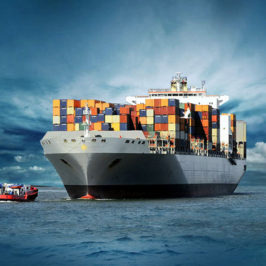 Cargo and Logistics